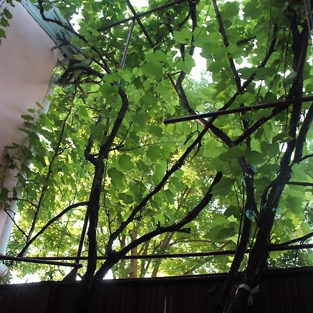 Hostel Old City Sololaki Tbilisi Eksteriør billede