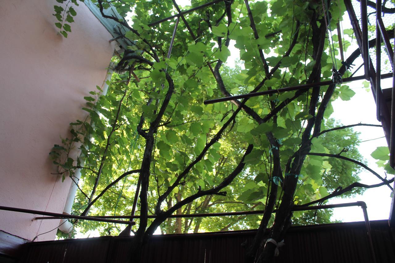 Hostel Old City Sololaki Tbilisi Eksteriør billede